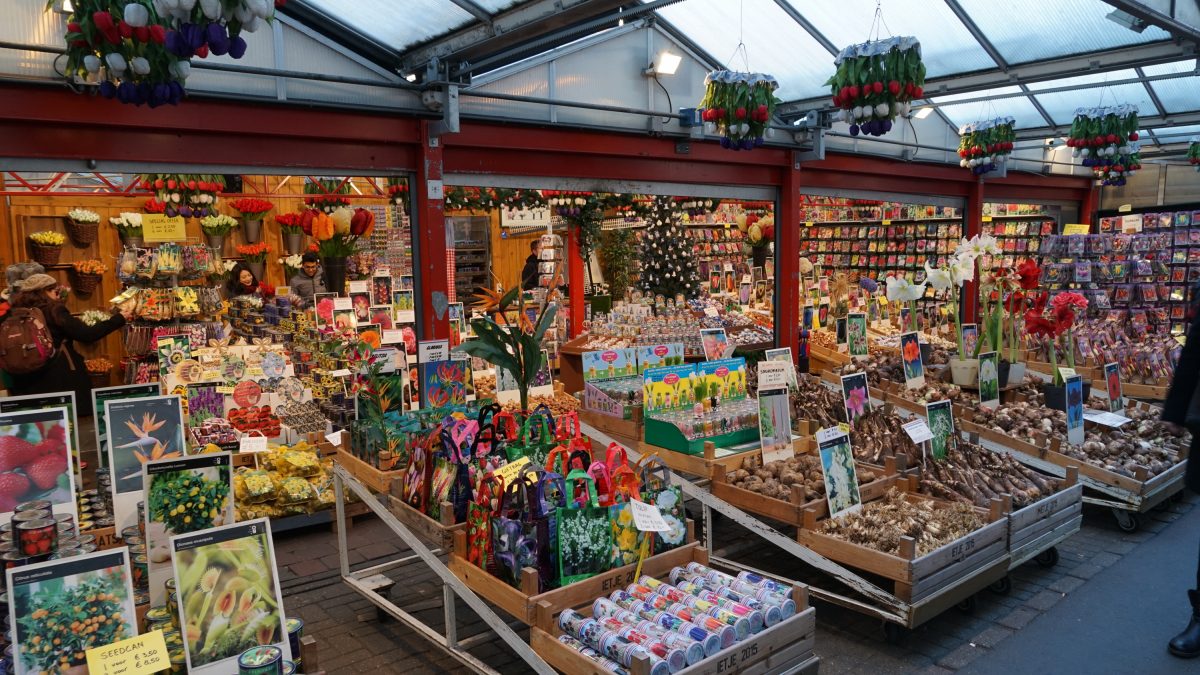암스테르담 꽃시장(Blomenmarkt)